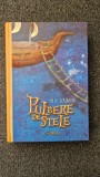 PULBERE DE STELE - Neil Gaiman
