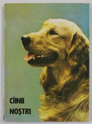 CAINII NOSTRI , BULETIN DOCUMENTAR , IUNIE 1983 foto