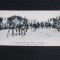 Mareșalii Joffre și Foch Călare,Parada Victoriei Paris, Primul Război Mondial .Carte Poștală Istorică 1919.Colecție Rară!