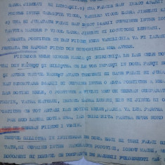 DOCUMENT VECHI-TESTAMENT 1910,Iordache Serban-com.BANEASA,Jud.COVURLUI,Plugar