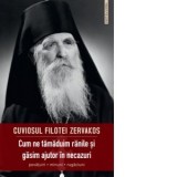 Cum ne tamaduim ranile si gasim ajutor in necazuri. Povatuiri, minuni, rugaciuni - Filotei Zervakos