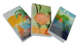 Cumpara ieftin Set Acvatica, 3 carnetele de buzunar, 3 x 200 pagini albe, 5 x 8 cm