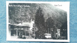 83 - Baile Herculane - Casino , Hotel Carol / Cazinoul / carte postala