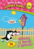 Cumpara ieftin Aventuri cu Tweety si Sylvester/***