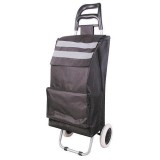 Geanta/carucior de cumparaturi pe roti, PE, PVC, EVA, 30 kg, 35x30x96 cm,&iuml;&iquest;&frac12;Demeter, Strend Pro