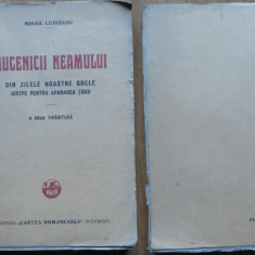 Mihail Lungianu , Mucenicii neamului ; Jertfe pentru apararea tarii , 1927