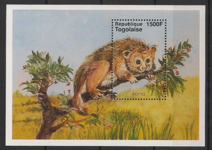 TOGO 1996 FAUNA ANIMALE SALBATICE POTTO