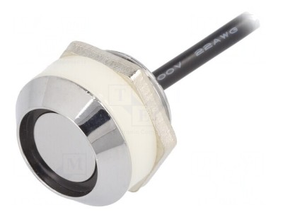 Button Memory Reader DS1920/DS1990A foto