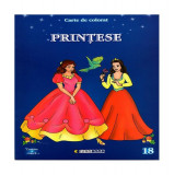 Prințese din povești - Paperback - Eurobookids
