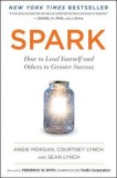 Spark: How to Lead Yourself and Others to Greater Success