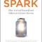 Spark: How to Lead Yourself and Others to Greater Success