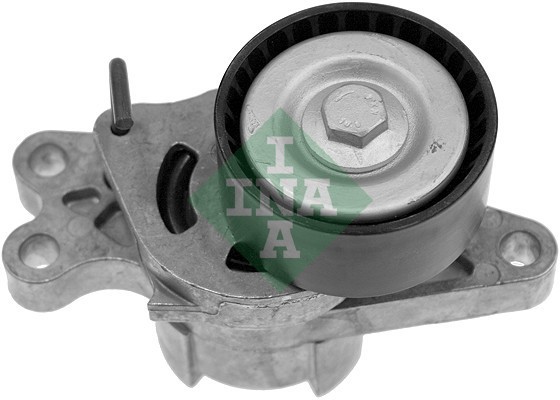 INA 534 0179 10 Intinzator curea, curea distributie