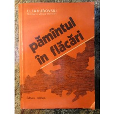 I. I. IAKUBOVSKI - PAMANTUL IN FLACARI, 1981