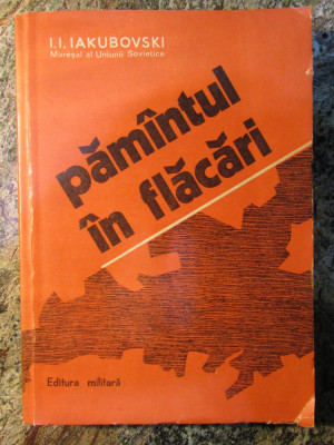I. I. IAKUBOVSKI - PAMANTUL IN FLACARI, 1981 foto