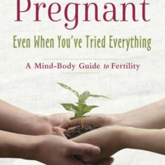 How to Get Pregnant, Even When You've Tried Everything: A Mind-Body Guide to Fertility