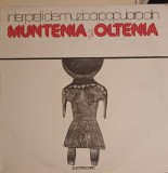 Disc vinil, LP. Interpreti De Muzica Populara Din Muntenia si Oltenia-COLECTIV-246189, Electrecord