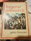 Petre Br&acirc;nzei - Itinerar psihiatric