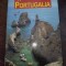 Ghid complet Portugalia
