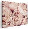 Tablou flori de bujor roz Tablou canvas pe panza CU RAMA 50x70 cm