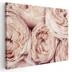 Tablou flori de bujor roz Tablou canvas pe panza CU RAMA 30x40 cm
