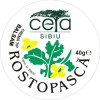 UNGUENT ROSTOPASCA 40gr CETA