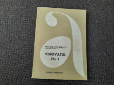 NICOLAE STEFANESCU - VINOVATUL NR. 1 foto