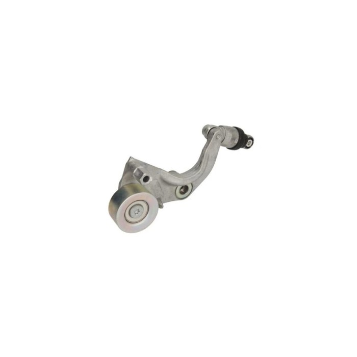Intinzator curea HONDA CR-V III RE DAYCO APV2754