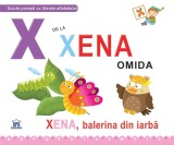 X de la Xena omida - Cartonata