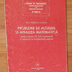 Probleme de algebra si analiza matematica pentru clasele XI-XII de Mircea Ganga