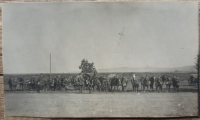 Militari romani efectuand un transport cu cai si carute// fotografie foto
