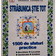 Carmen Murgasanu - Strabunica stie tot. 1500 de sfaturi practice, ed. I (editia 2012)