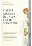 Cumpara ieftin Piedici ascunse in calea catre mantuire
