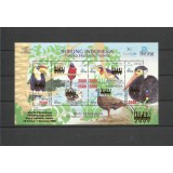 INDONESIA 2009 FAUNA PASARI SUPRATIPAR JIPEX