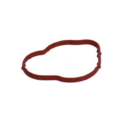 Garnitura Corp Termostat 155108 100109 foto