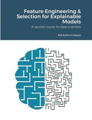 Feature Engineering &amp; Selection for Explainable Models: A second course for data scientists