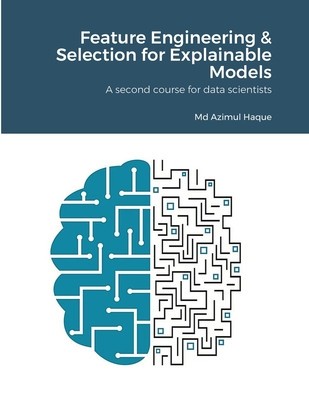 Feature Engineering &amp;amp; Selection for Explainable Models: A second course for data scientists foto
