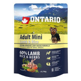 Cumpara ieftin ONTARIO Adult Mini Lamb &amp;amp; Rice 0,75kg - AMBALAJ DETERIORAT