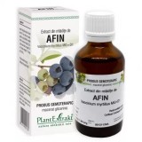 Extract din mladite de afin, 50ml, PlantExtrakt