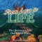 From Lava to Life: The Universe Tells Our Earth Story