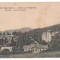 SV * Salutari din ANINA * Imagine cu NATURA PROASPATA DE VARA * 1908