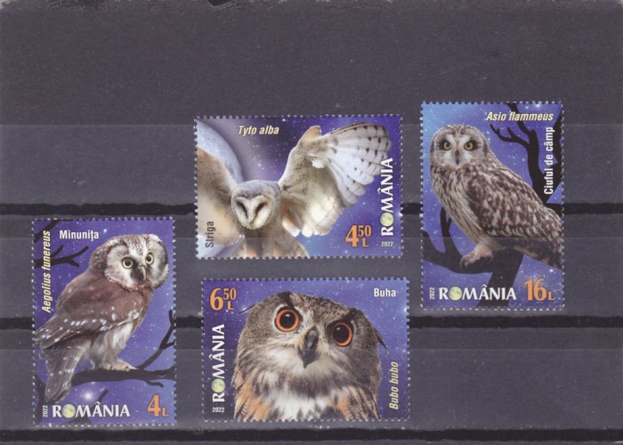 ROMANIA 2022 - PASARI DE NOAPTE, MNH - LP 2368