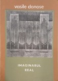 Imaginarul real - Vasile Donose