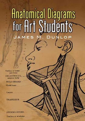 Anatomical Diagrams for Art Students