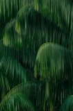 Tablou Canvas, "Frunziș tropical luxuriant și dens", Frunze, Verzi, Tropice, Naturale, Luxuriant, Textură, Exotic, Abundență, Vegetație, 26 x 39 cm, C