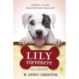 Lily t&ouml;rt&eacute;nete - Siker&uuml;l Lilynek megmenteni m&aacute;sokat? - W. Bruce Cameron