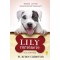 Lily t&ouml;rt&eacute;nete - Siker&uuml;l Lilynek megmenteni m&aacute;sokat? - W. Bruce Cameron