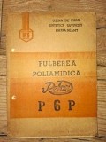 Pulberea poliamidica Relon P6P Carti Chimie 40 pagini format 20x13 cm brosata