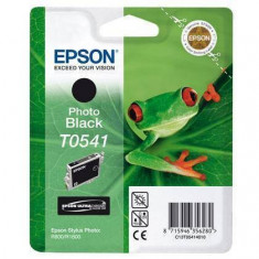 Consumabil Epson Cartus T0541 Photo Black foto