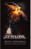 Scrum - Silviu Ciocanelli