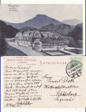 Baile Bazna , Bassen ( Sibiu, Hermannstadt)- rara